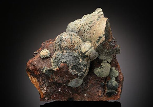 CC11064 specimen image