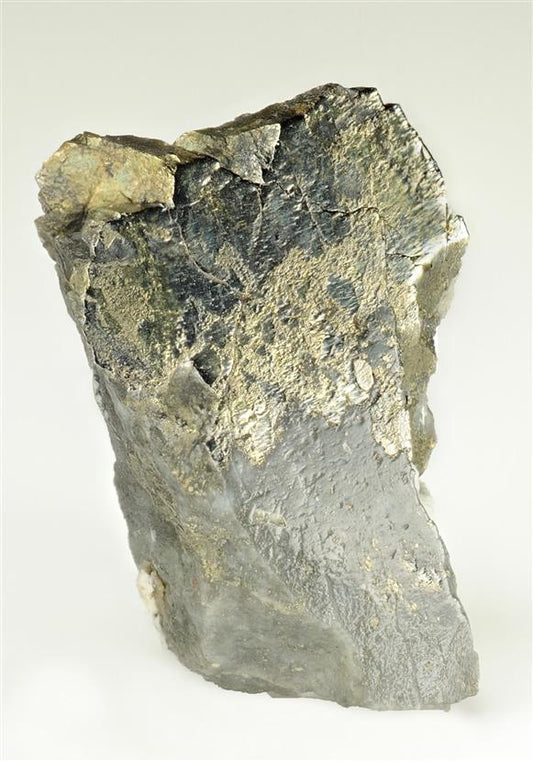 CC11075 specimen image