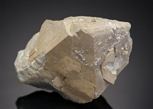 CC11077 specimen image