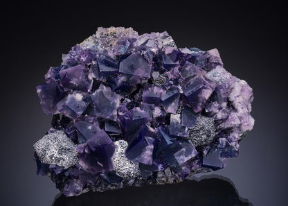 CC11080 specimen image