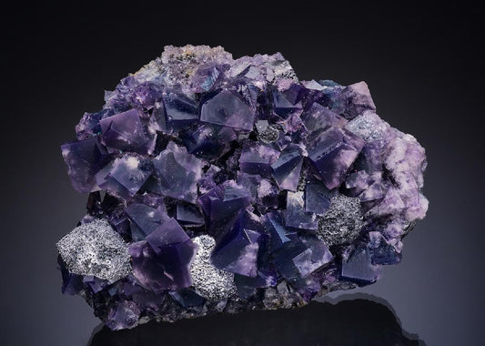 CC11080 specimen image