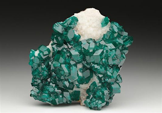 CC11087 specimen image