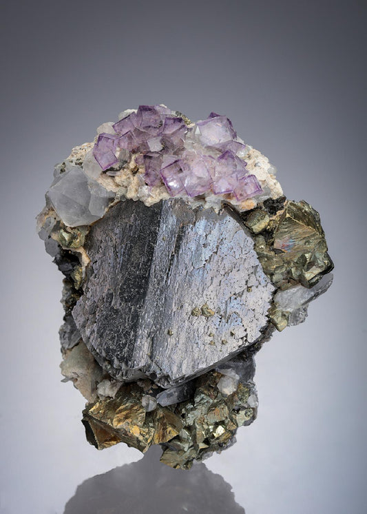 CC11100 specimen image