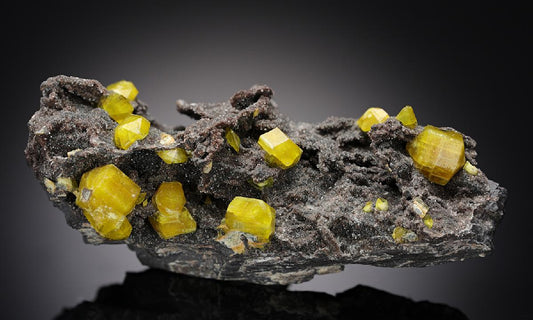 CC11101 specimen image