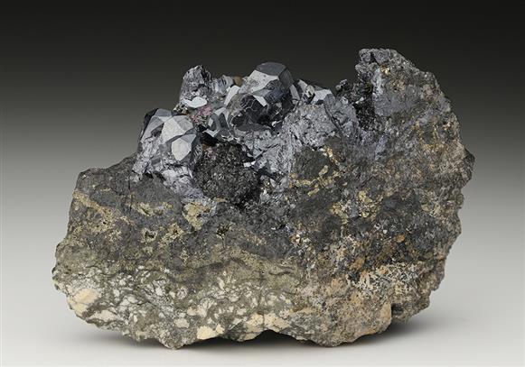 CC11102 specimen image