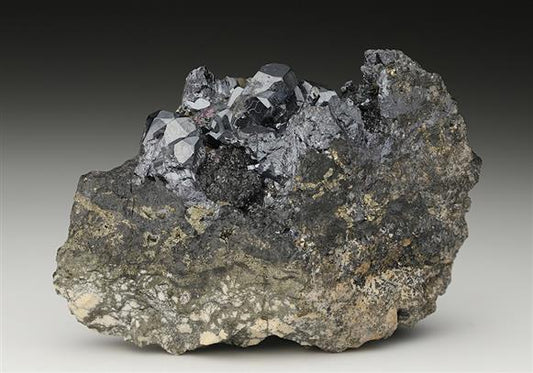 CC11102 specimen image