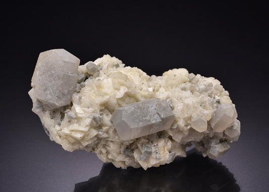 CC11148 specimen image