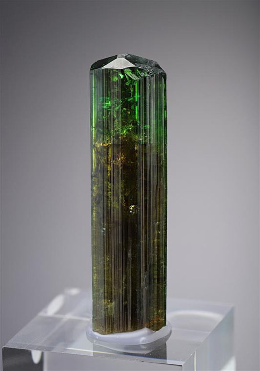 CC11156 specimen image