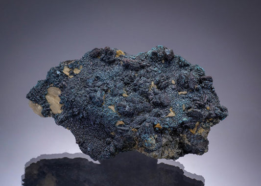 CC1116 specimen image