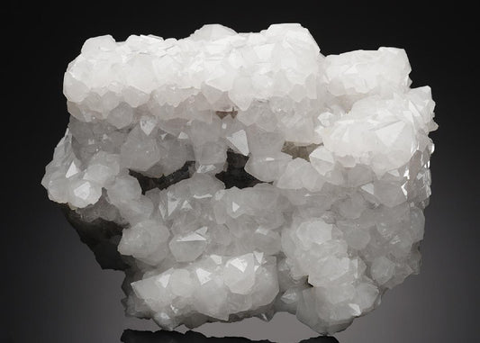 CC11165 specimen image