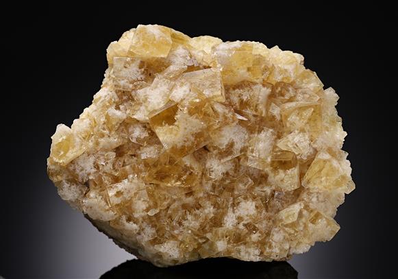 CC11176 specimen image