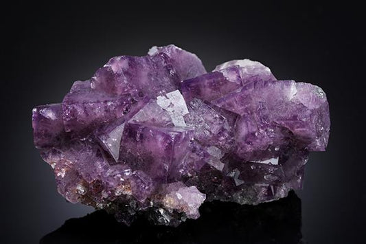CC11183 specimen image
