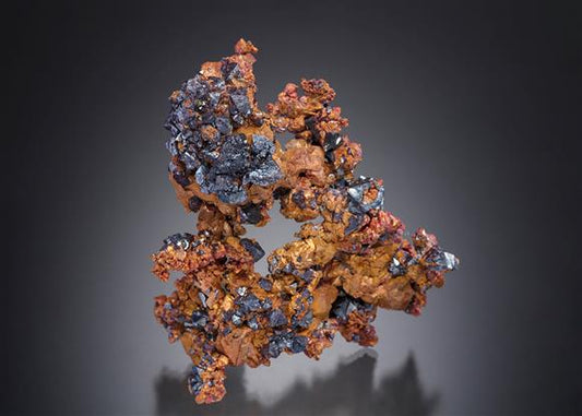 CC11210 specimen image