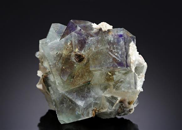 CC11217 specimen image
