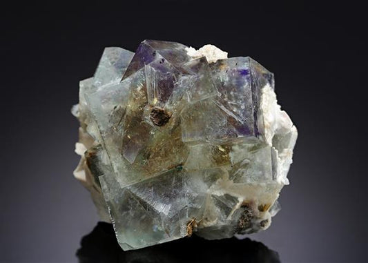 CC11217 specimen image