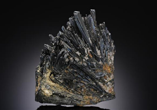 CC11222 specimen image