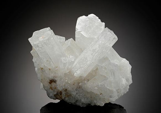 CC11226 specimen image