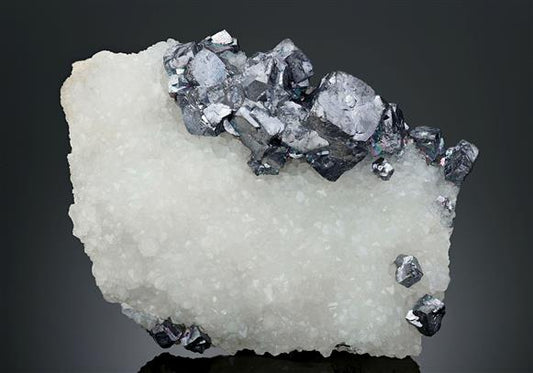 CC11247 specimen image