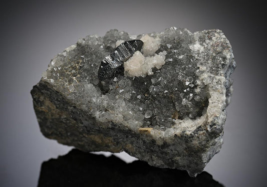CC11269 specimen image