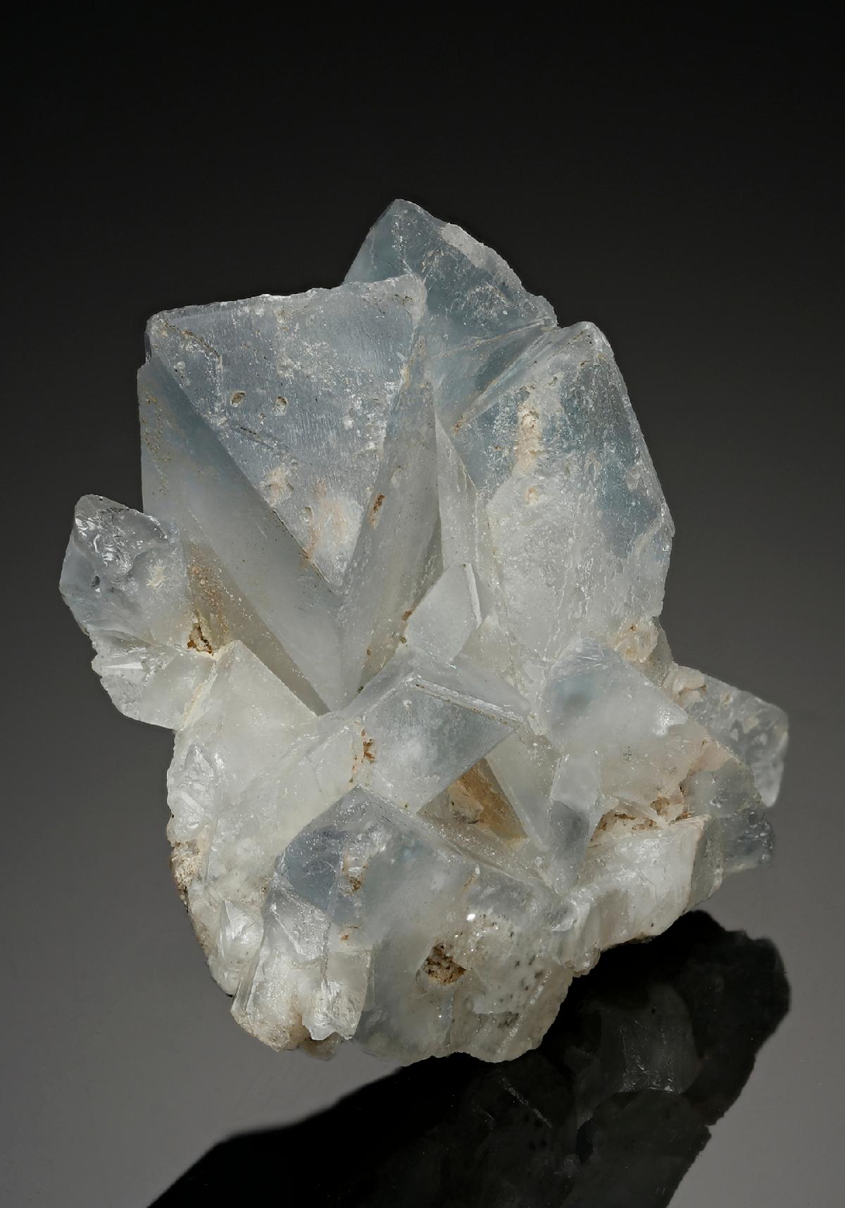 CC11272 specimen image