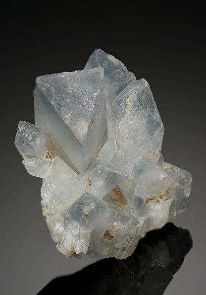 CC11272 specimen image