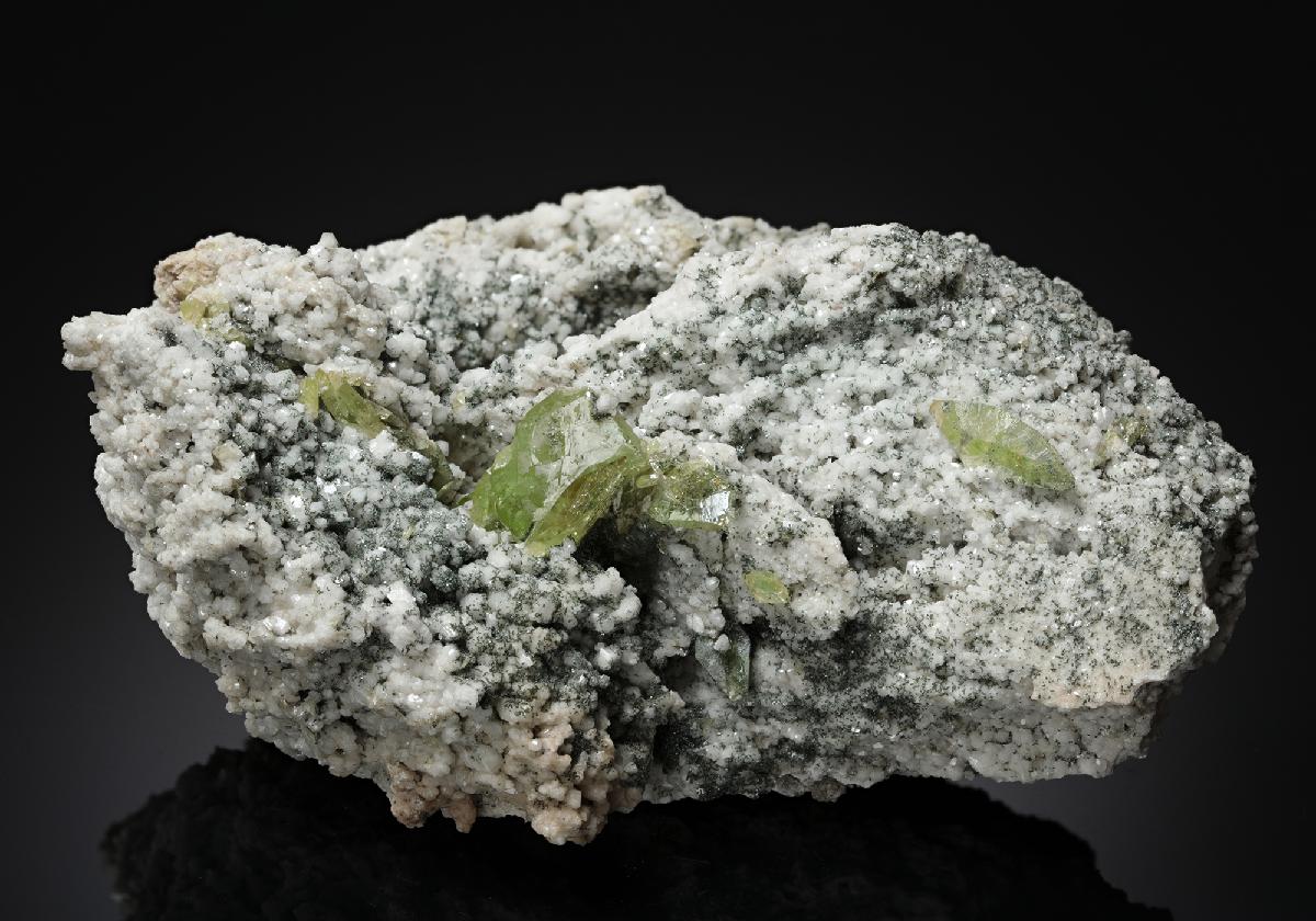 CC11279 specimen image