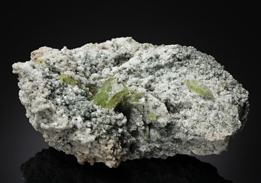 CC11279 specimen image