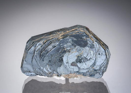 CC11296 specimen image