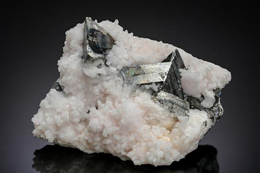 CC11304 specimen image