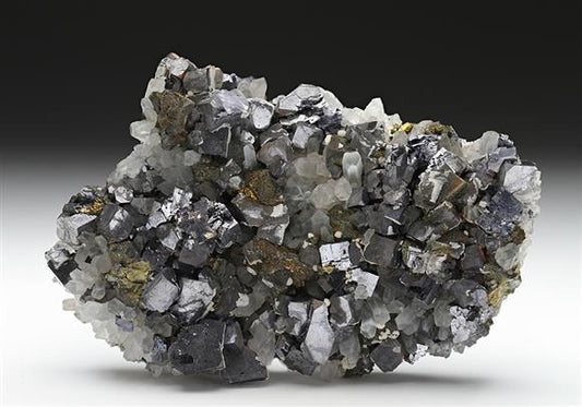 CC11322 specimen image