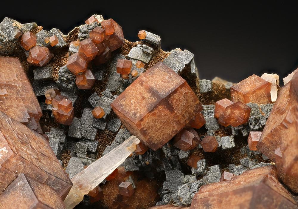 CC11324 specimen image