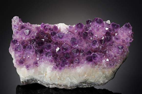 CC11327 specimen image