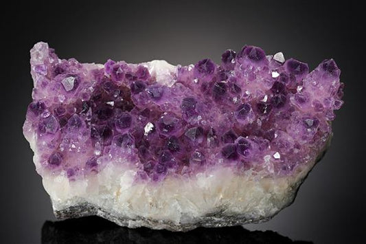 CC11327 specimen image