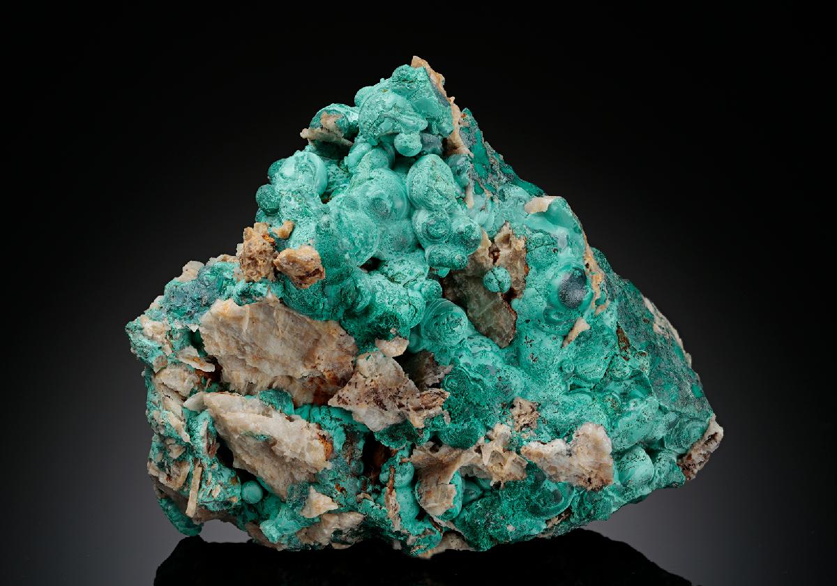 CC11330 specimen image