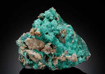 CC11330 specimen image