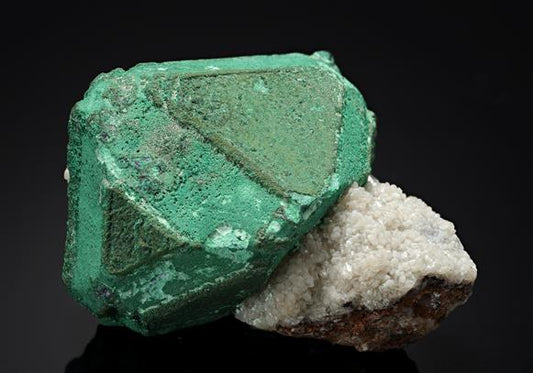 CC11335 specimen image