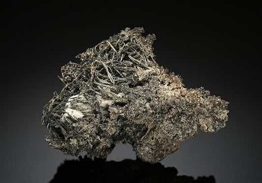 CC11380 specimen image