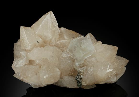 CC11402 specimen image