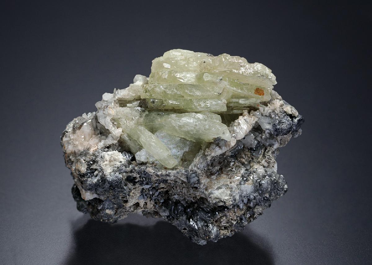 CC11427 specimen image