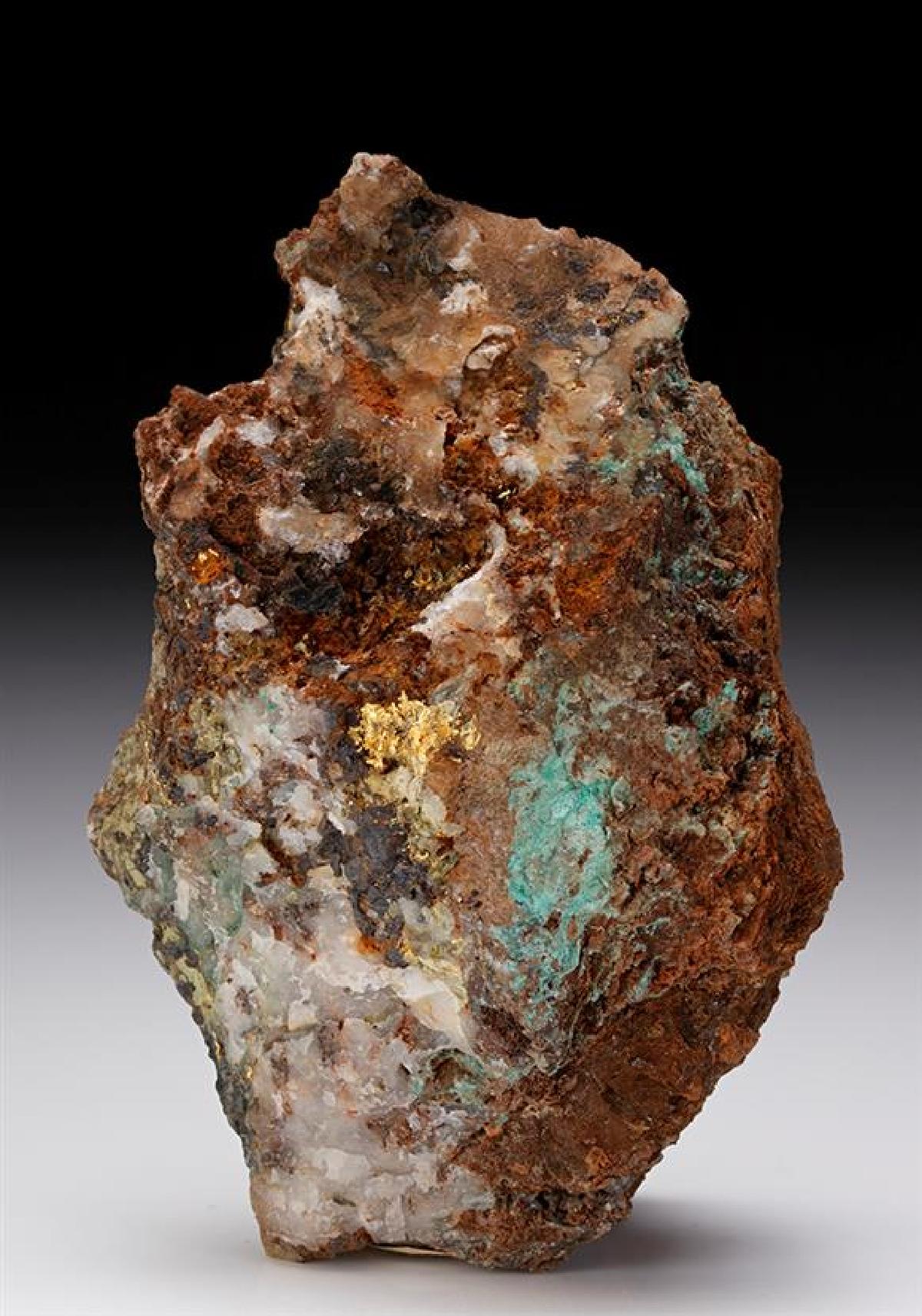 CC11442 specimen image