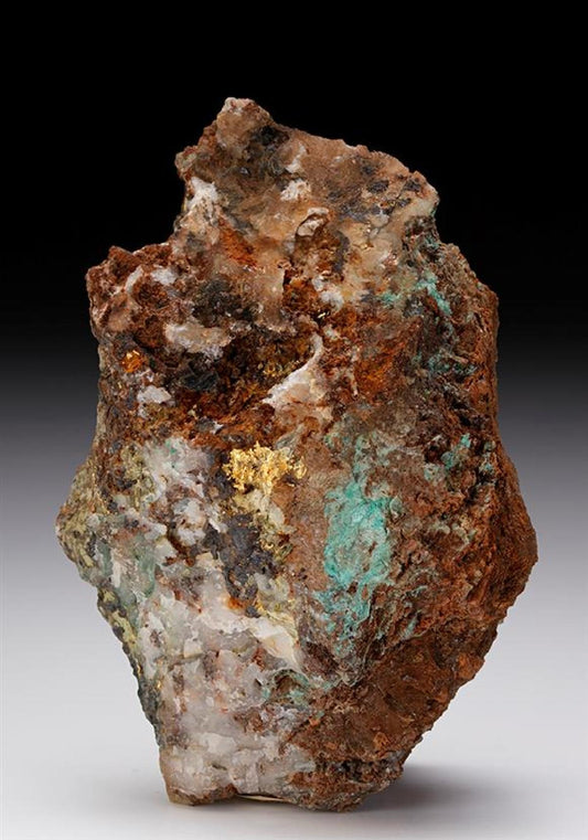 CC11442 specimen image