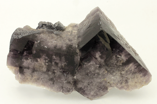 CC11451 specimen image