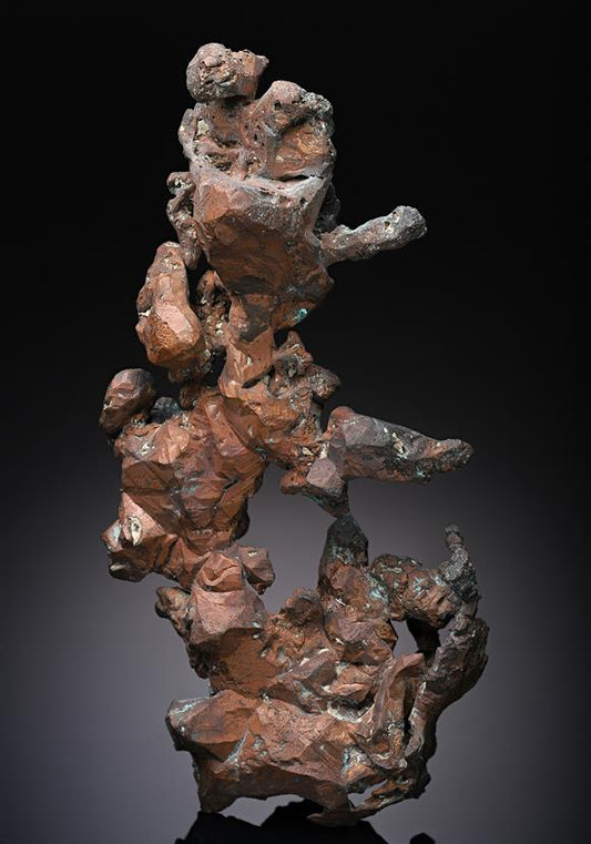 CC11458 specimen image