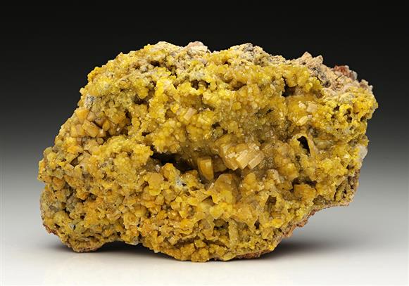 CC11480 specimen image