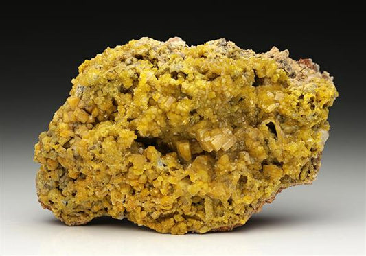 CC11480 specimen image