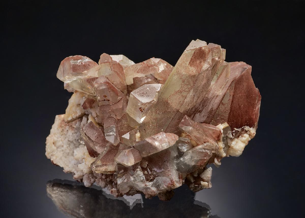 CC11485 specimen image