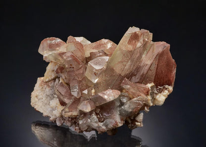 CC11485 specimen image