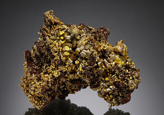 CC11501 specimen image