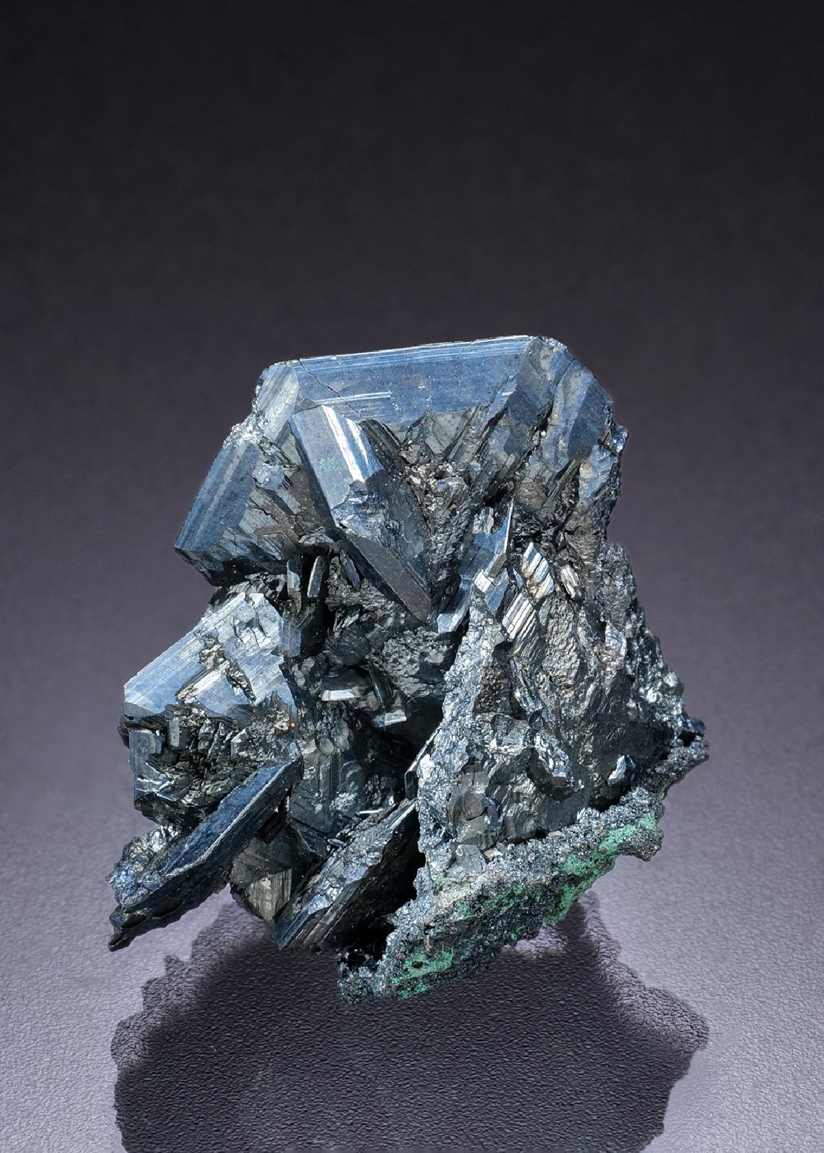 CC11522 specimen image