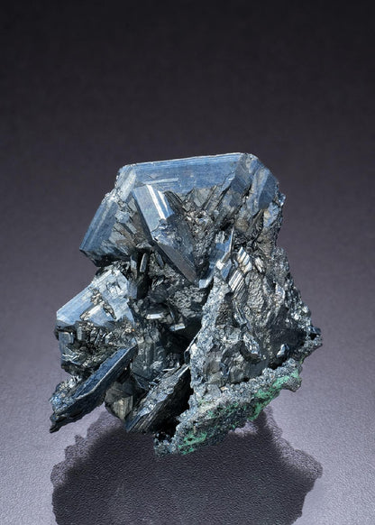 CC11522 specimen image
